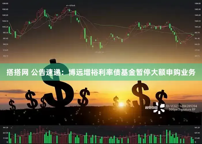 搭搭网 公告速递：博远增裕利率债基金暂停大额申购业务