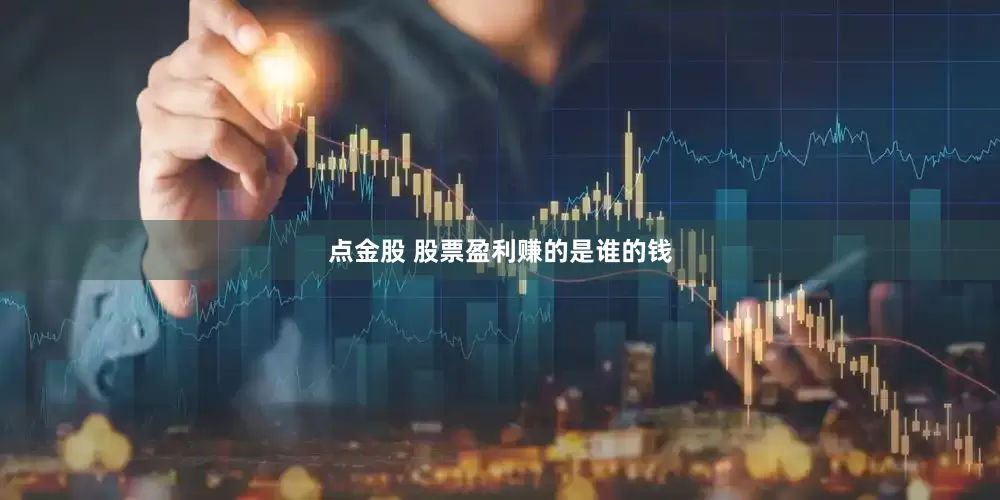 点金股 股票盈利赚的是谁的钱