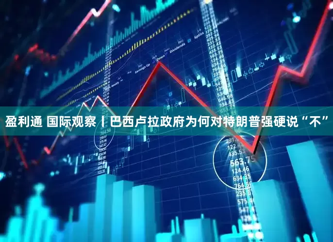 盈利通 国际观察丨巴西卢拉政府为何对特朗普强硬说“不”