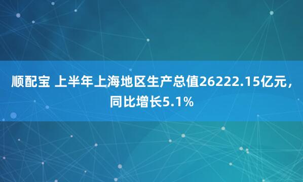 顺配宝 上半年上海地区生产总值26222.15亿元，同比增长5.1%