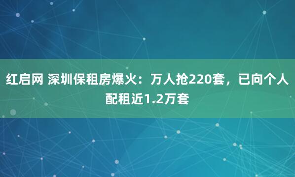 红启网 深圳保租房爆火：万人抢220套，已向个人配租近1.2万套